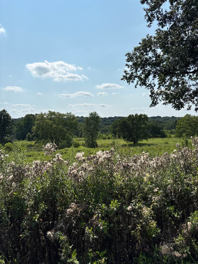 walking near me in Cascade Valley Metropark (Valley View Area) in summer