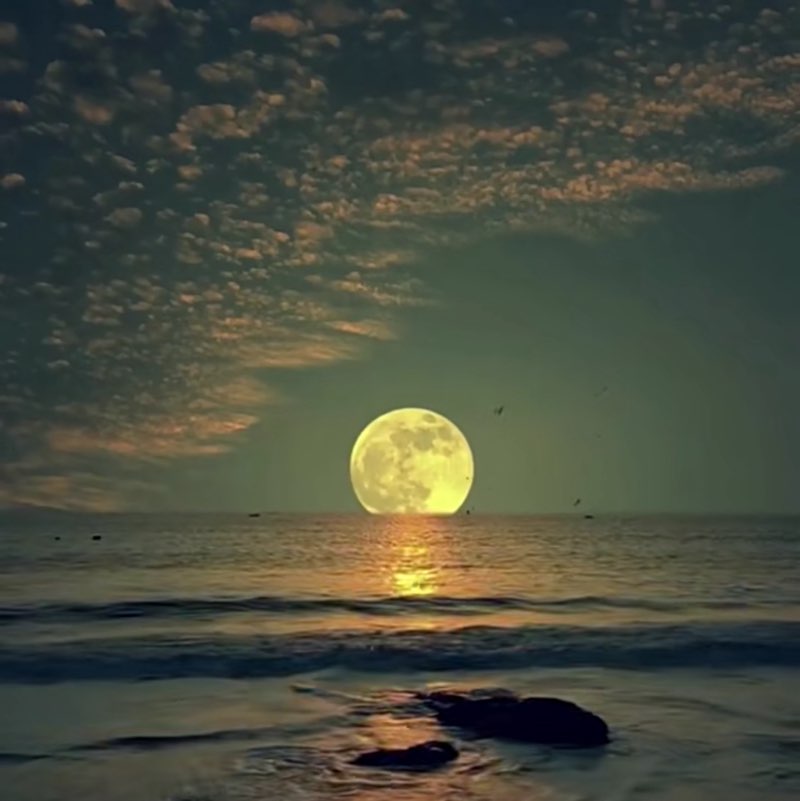 علي بن منديل المالكي post 3