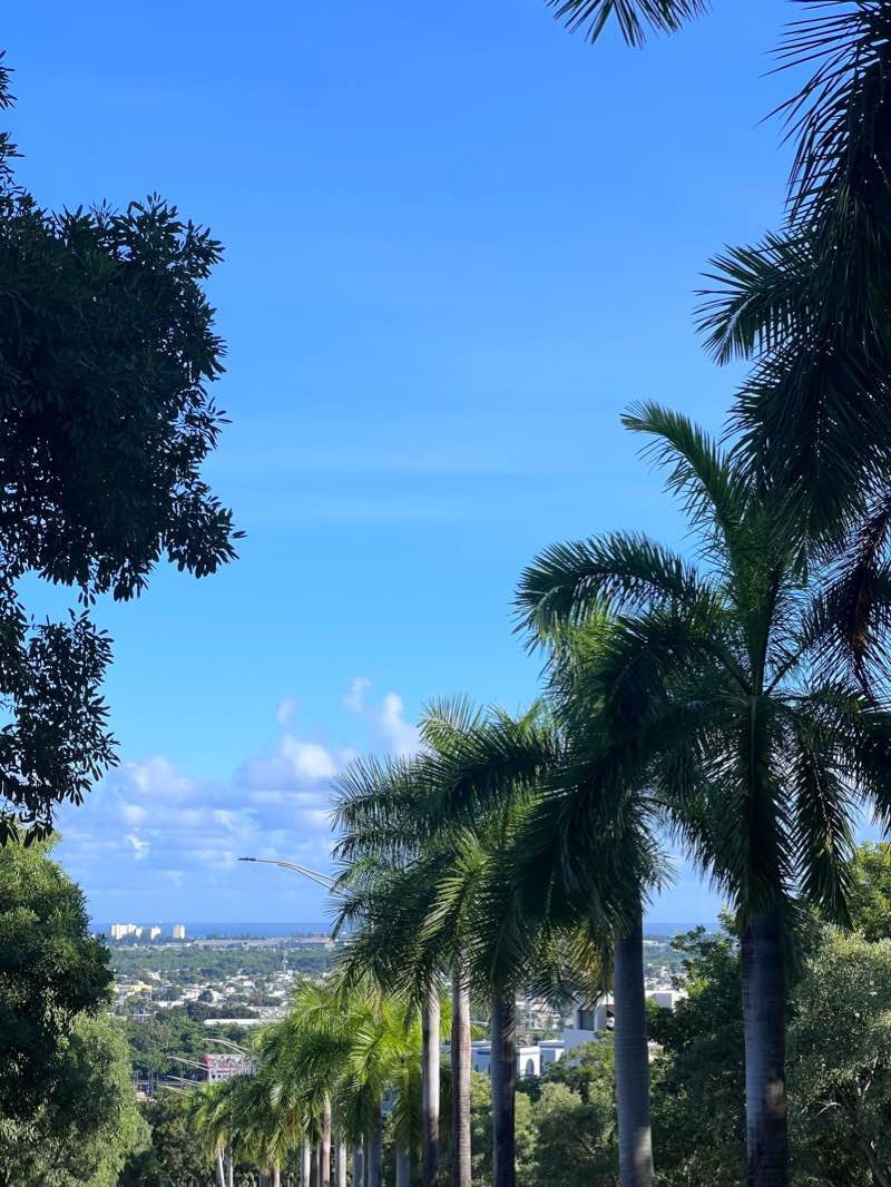 walking near me in Escorial Park in winter