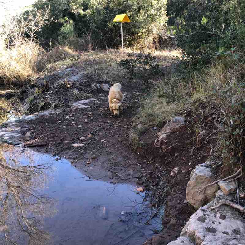 Veronique Aline post 3