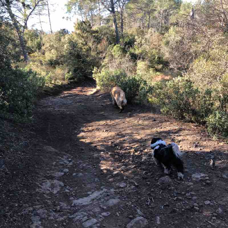 Veronique Aline post 2