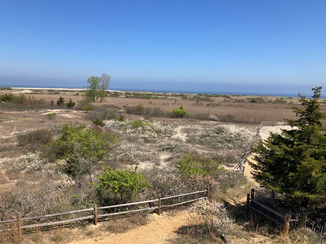 walking near me in Veterans Memorial Park in winter