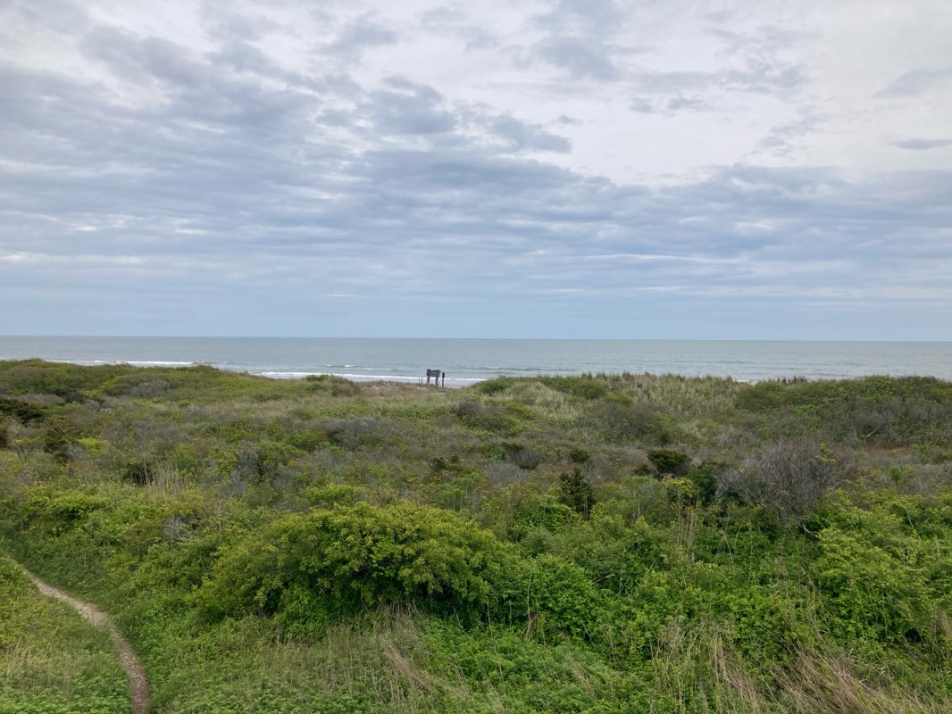 walking near me in New Jersey Pinelands National Reserve in winter