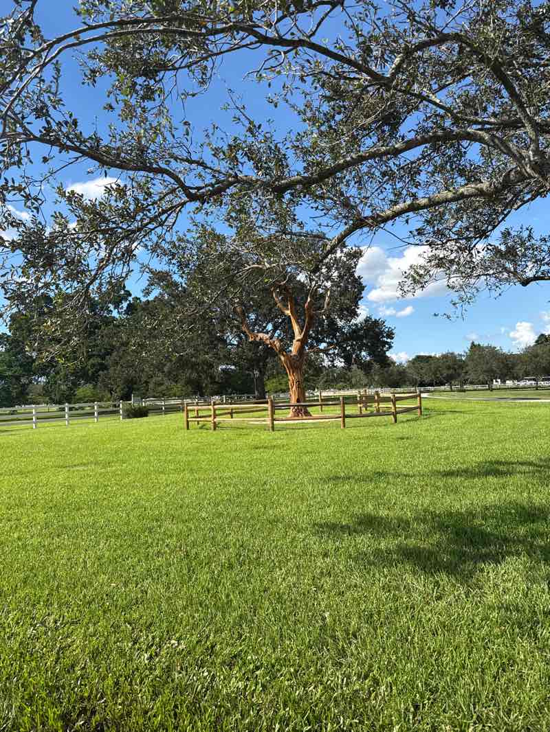 walking near me in Rolling Oaks Park in autumn