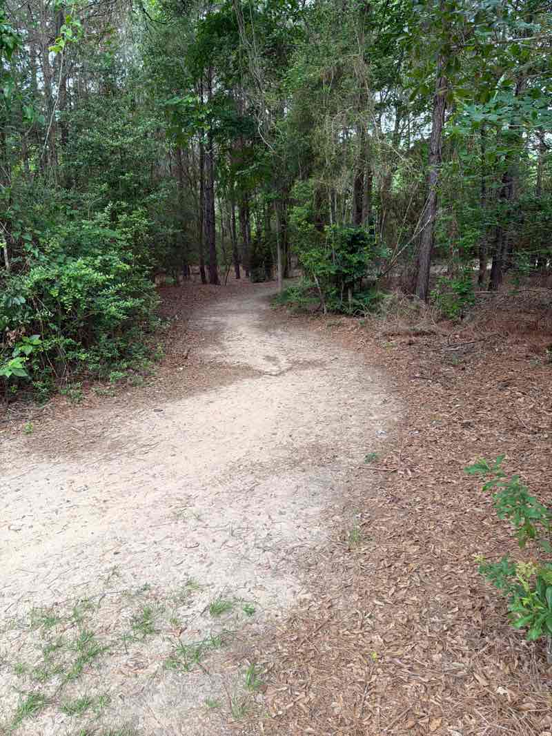 walking near me in Little Cypress Creek Preserve in spring