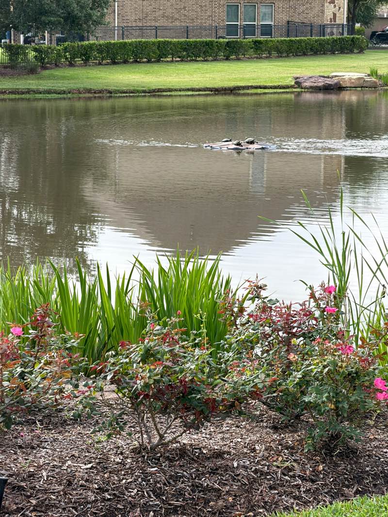 walking near me in Cameron Reach Recreation Area in spring