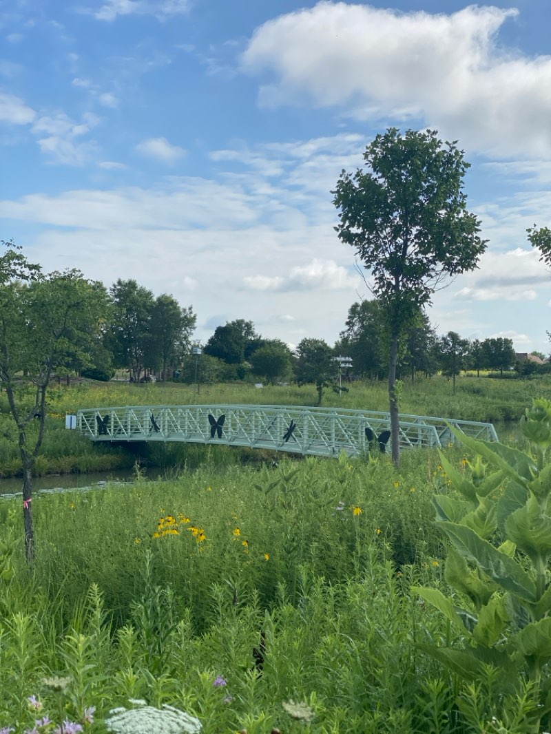 walking near me in Mullikin Park in summer