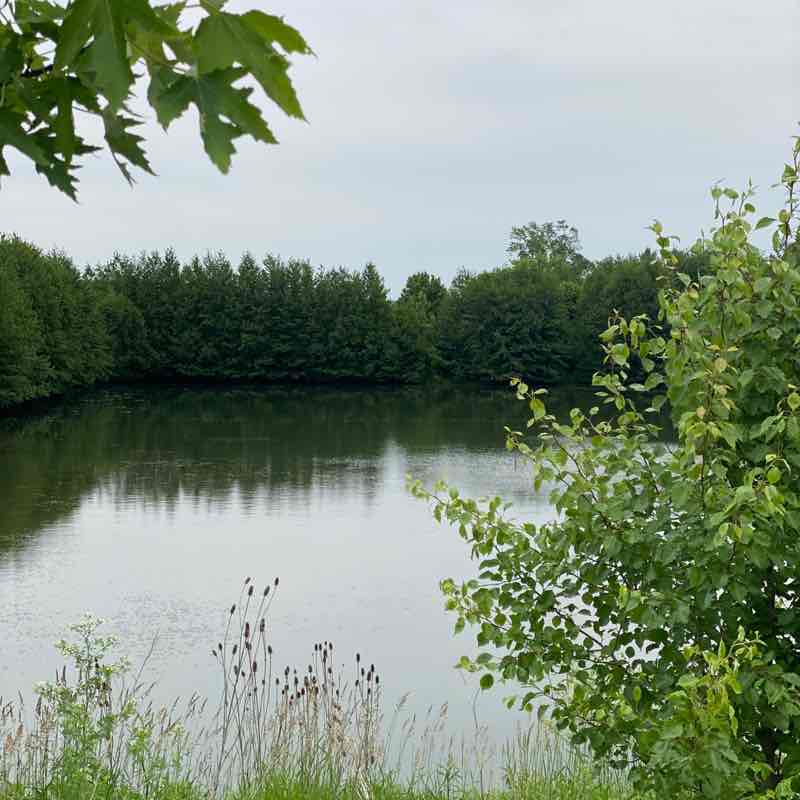 Jason P. Chambers post 1