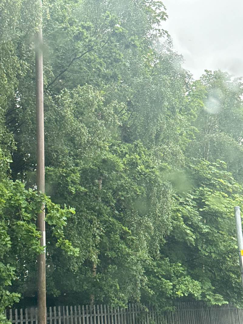 walking near me in Saughton Park in summer