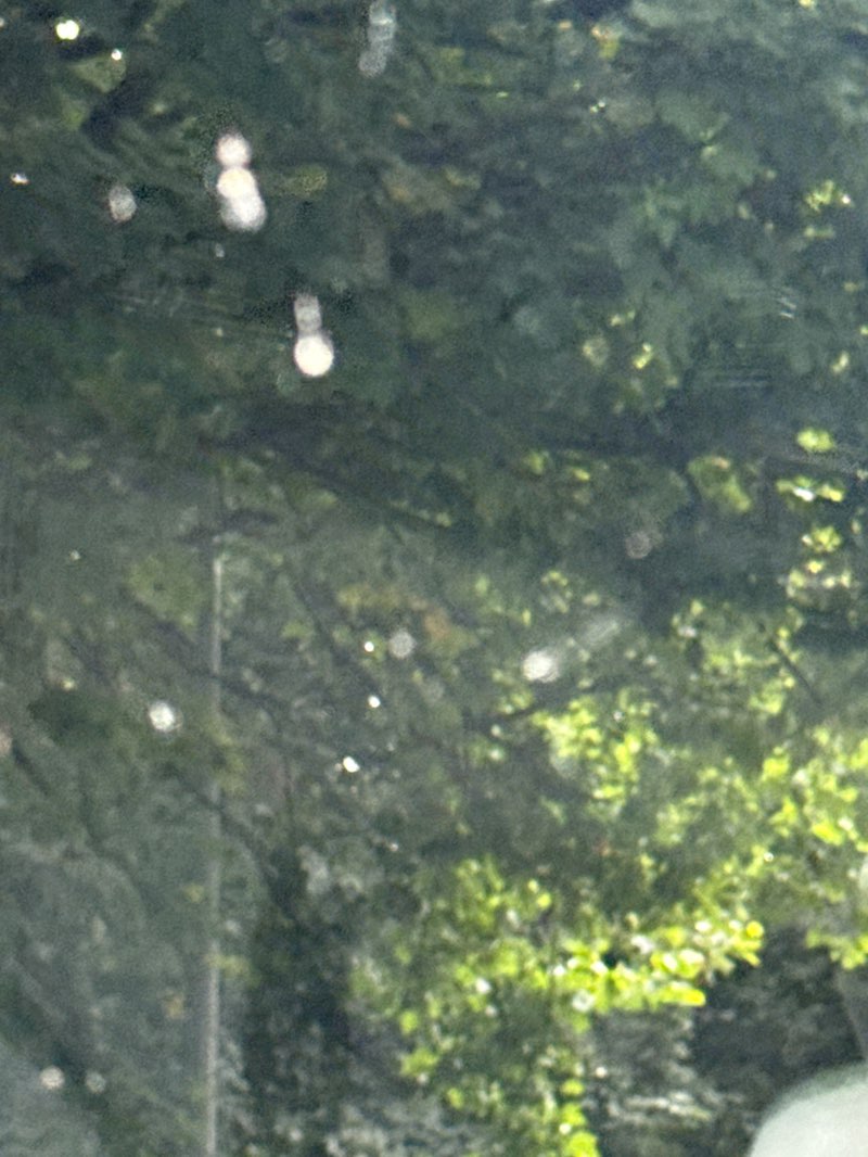 walking near me in Victoria Park in summer