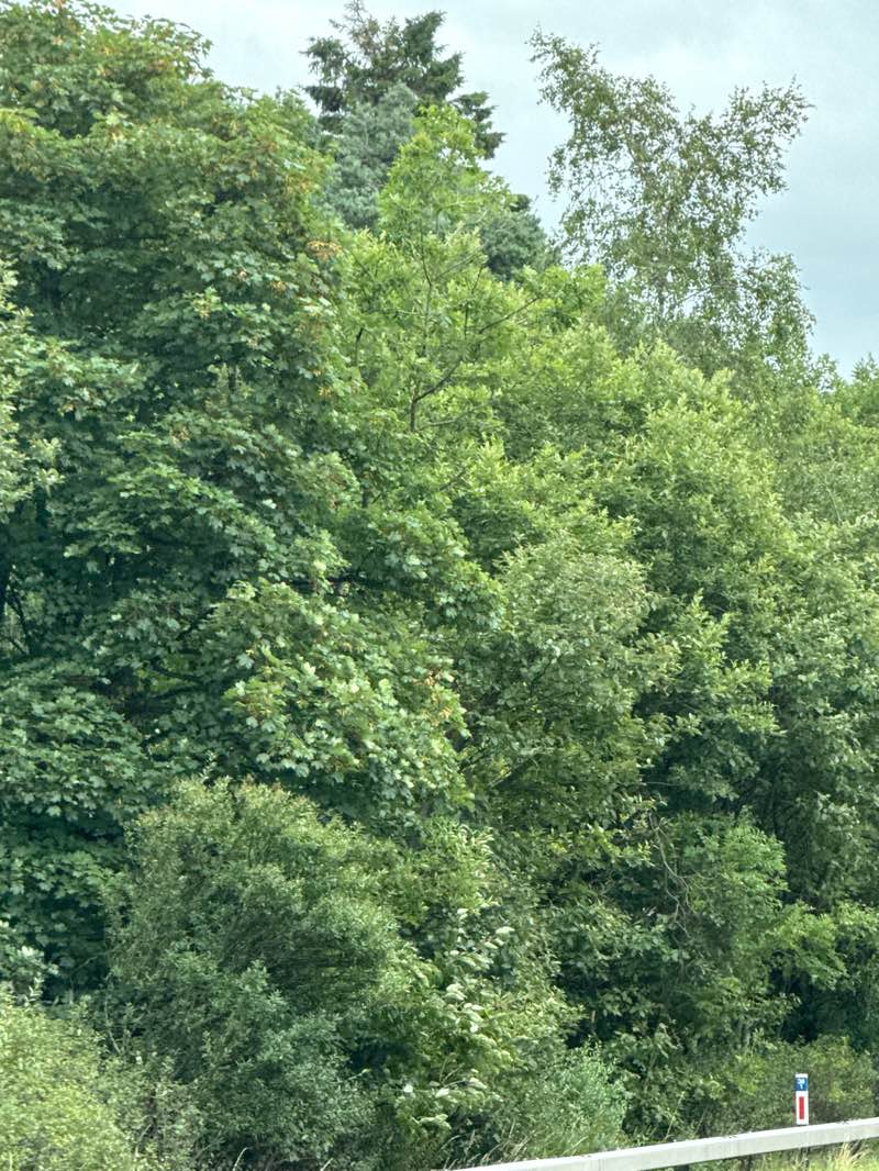 walking near me in Polkemmet Country Park in summer