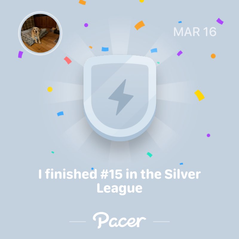 Gillian Stafford post 1