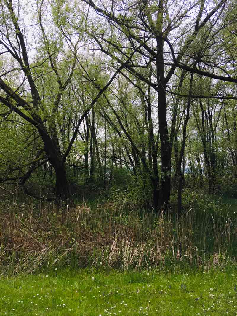 walking near me in Strandbad Seewinkel in winter