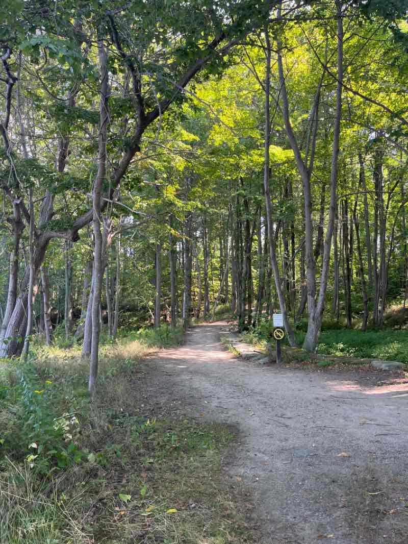 walking near me in Falmouth Nature Preserve in winter