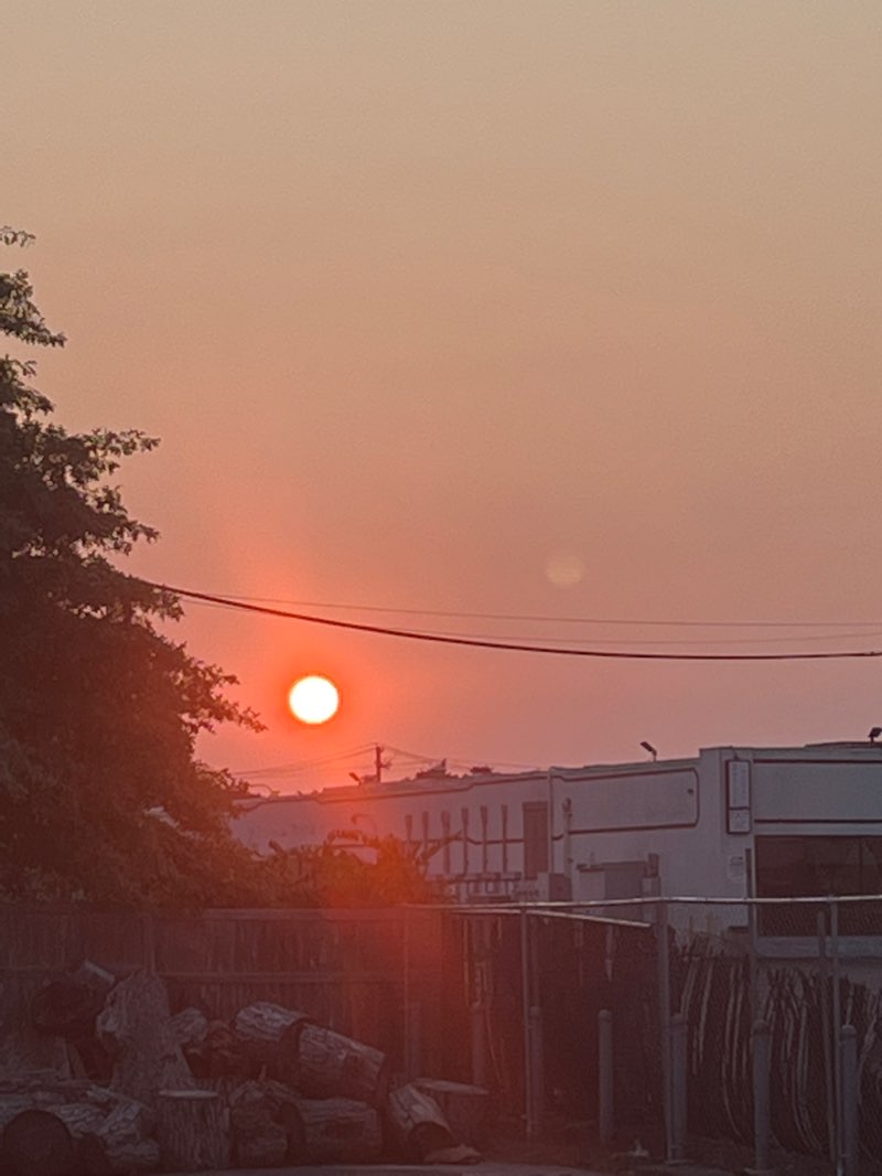 walking near me in Wilson Park in winter