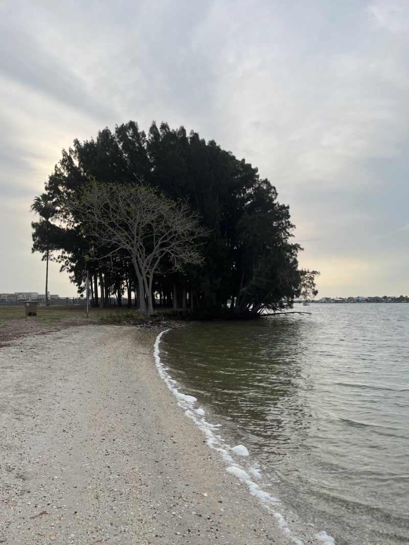 walking near me in Bicentennial Park in winter