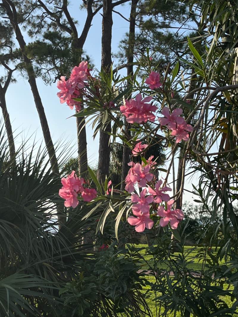 walking near me in Edgewater Park in winter