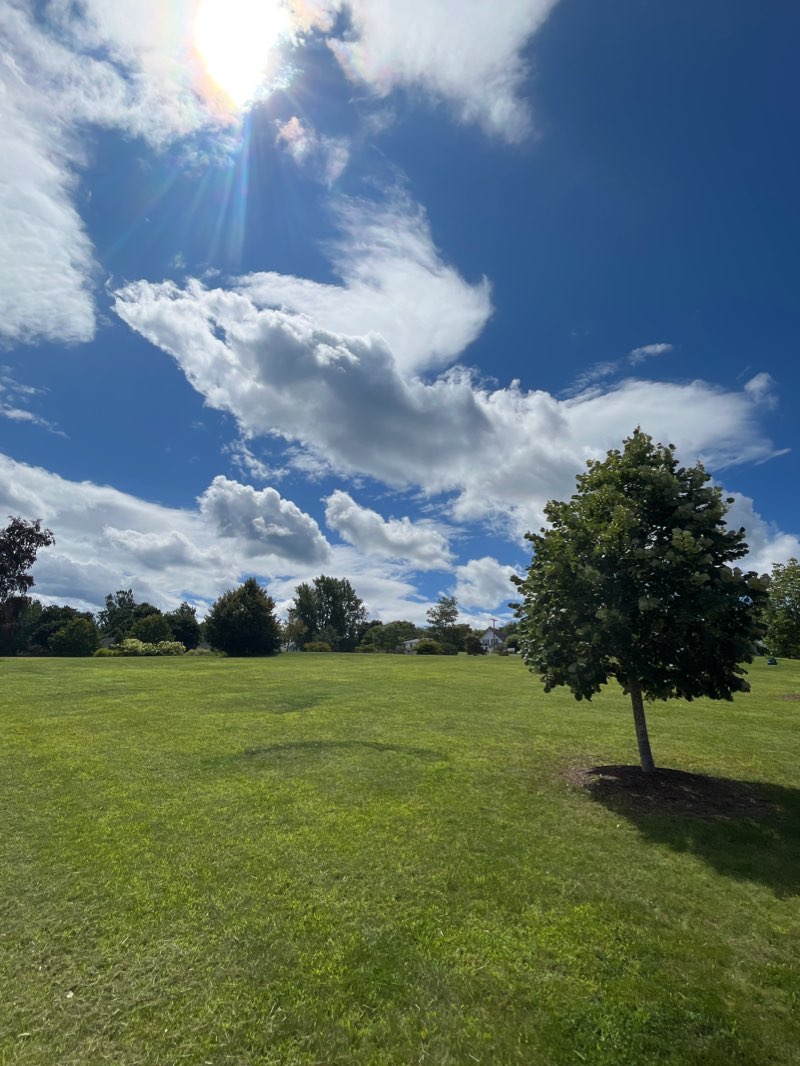 walking near me in Steamboat Landing in winter