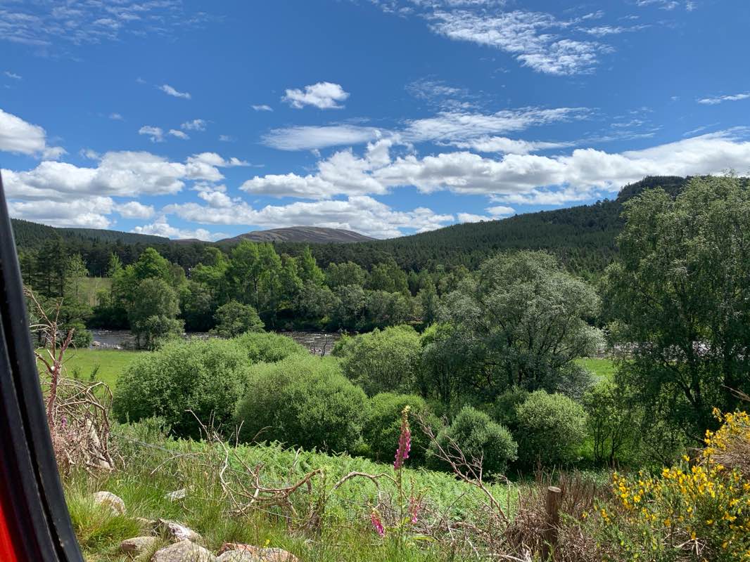 walking near me in Alexandra Park in winter