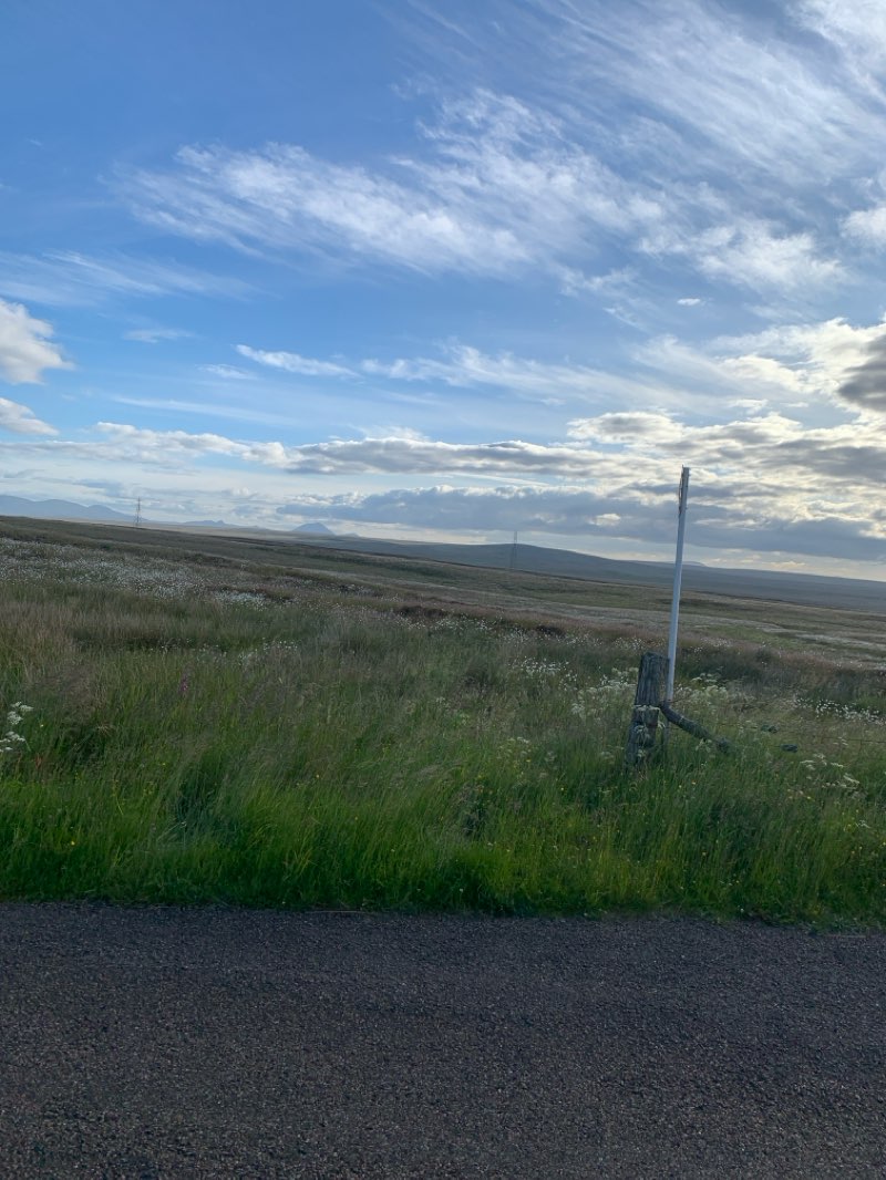 walking near me in Maxwell Park in winter