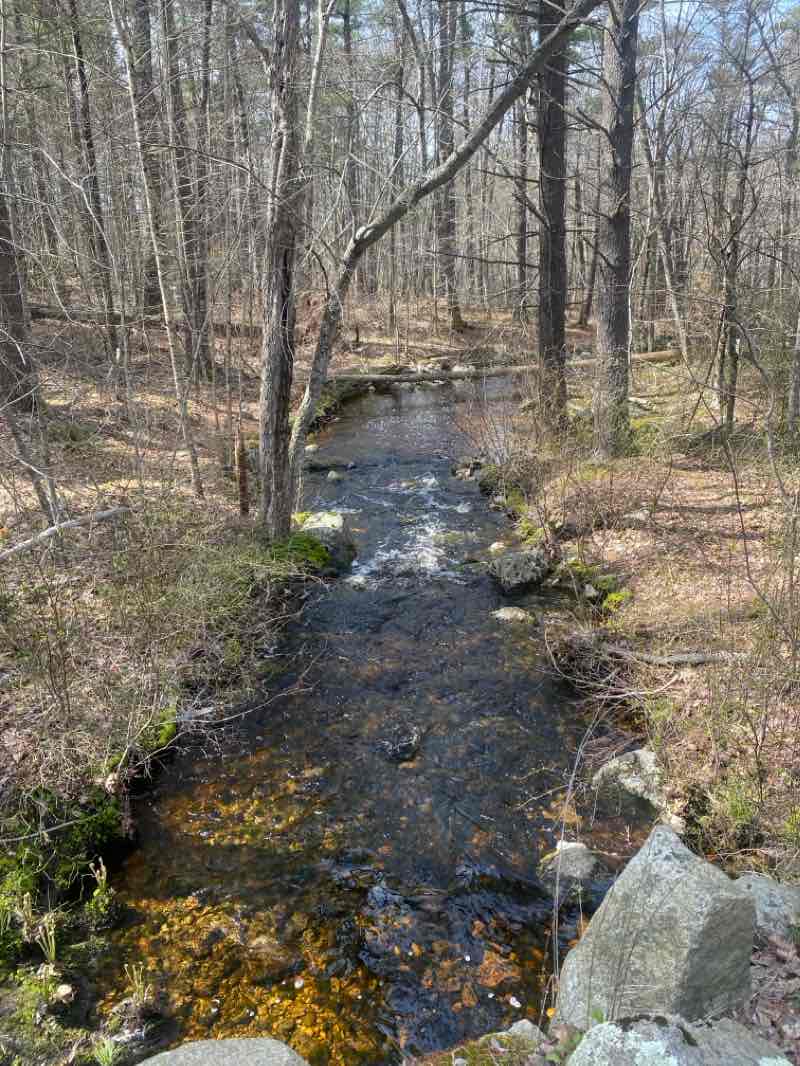 walking near me in Freetown-Fall River State Forest in winter