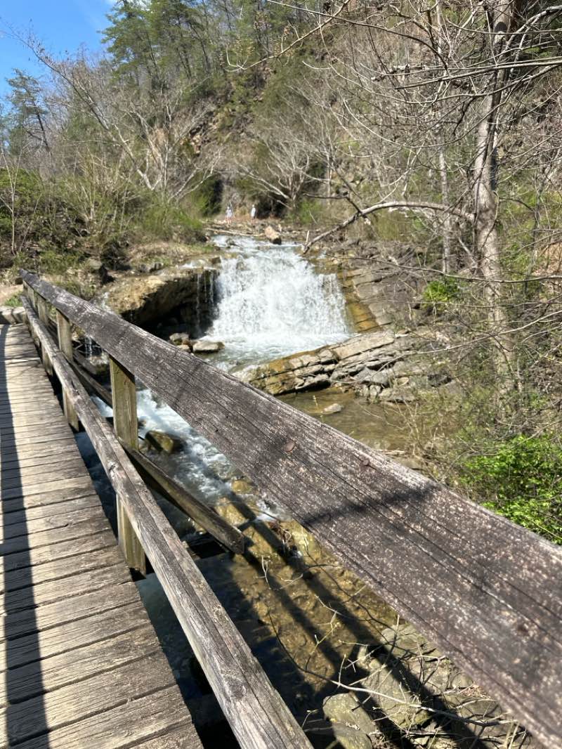 walking near me in Rooster Front Park in spring