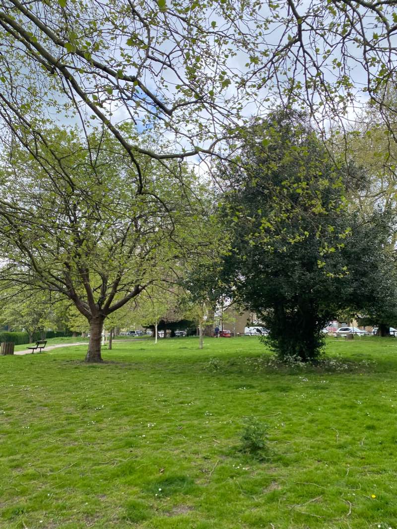 walking near me in Jesus Green in winter