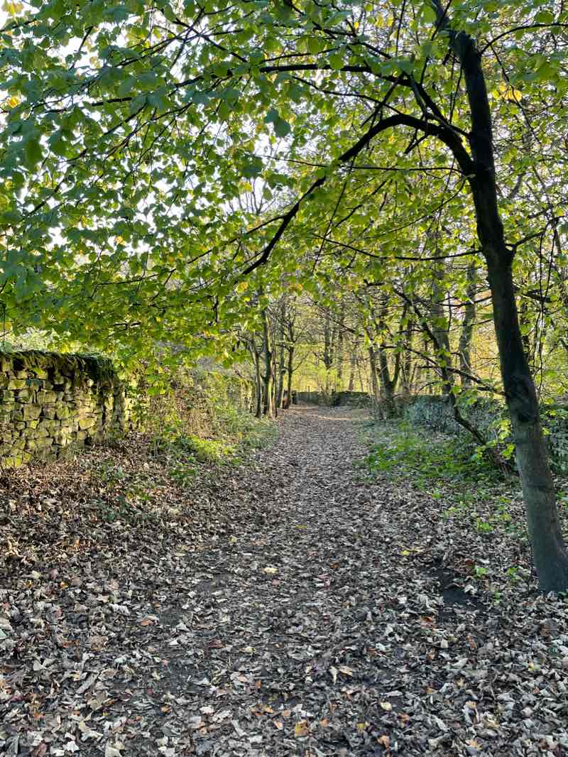 walking near me in Roberts Park in winter