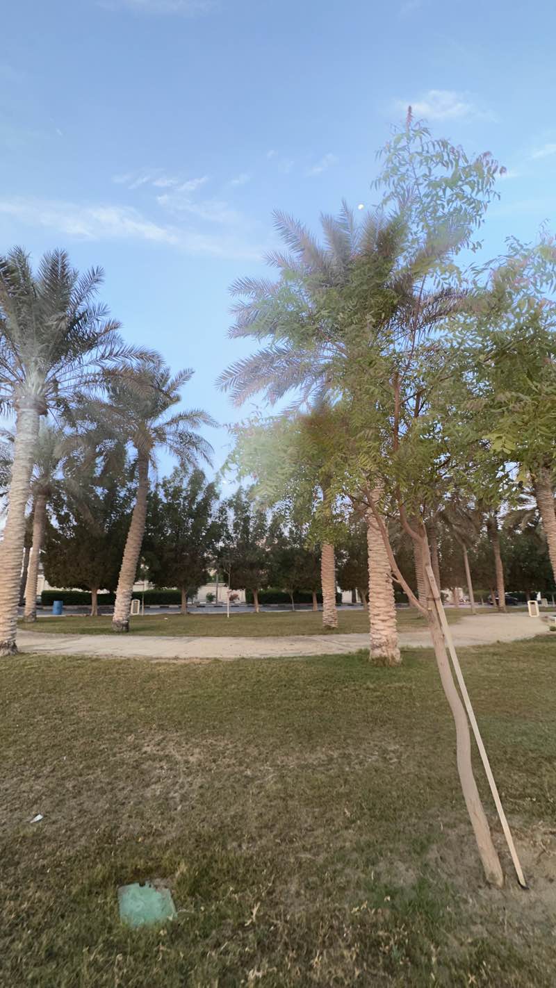 walking near me in Cornich Al Qatif in autumn