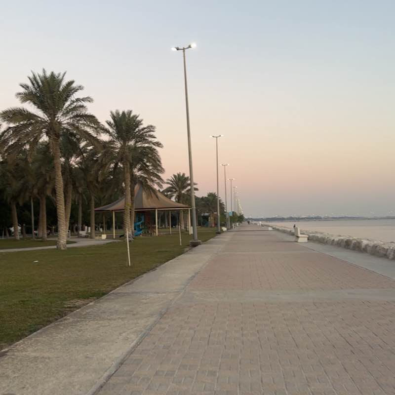 راضي علي العوامي post 2