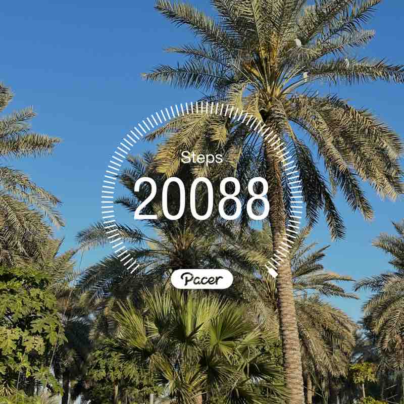 راضي علي العوامي post 1