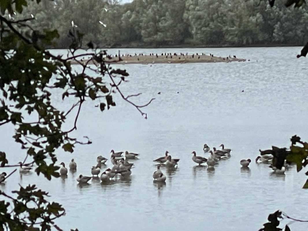 walking near me in Park Kattenbrook IV in autumn