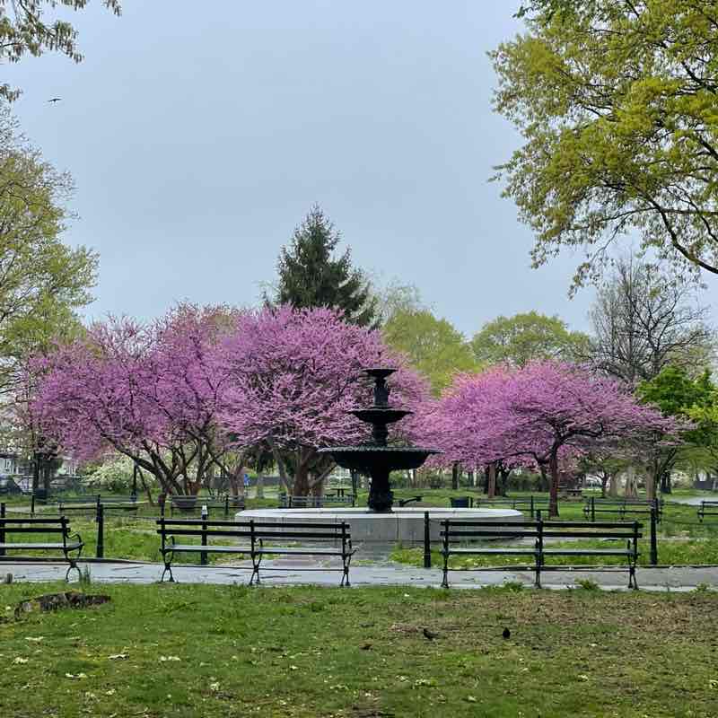 Nekeisha (Sharon Best-Jhagroo) post 1