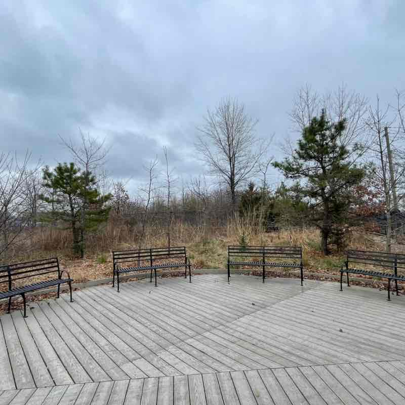 Nekeisha (Sharon Best-Jhagroo) post 2