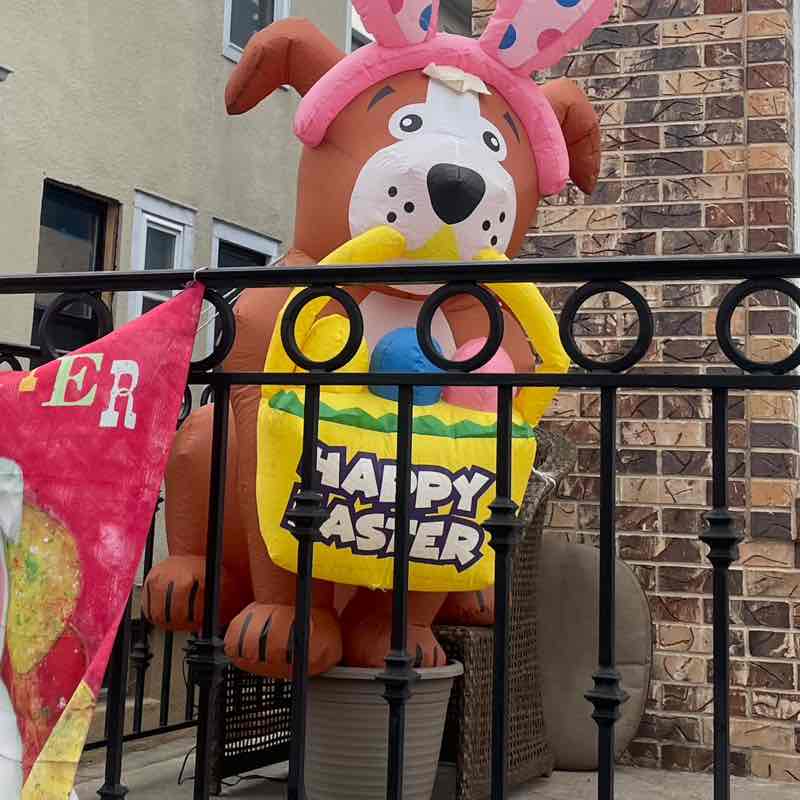 Nekeisha (Sharon Best-Jhagroo) post 2