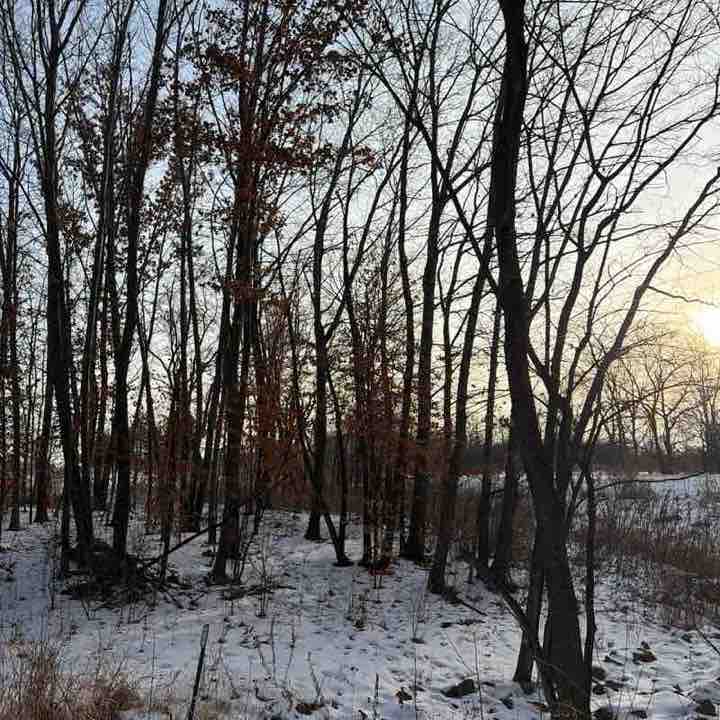 PacerТоварищ post 1