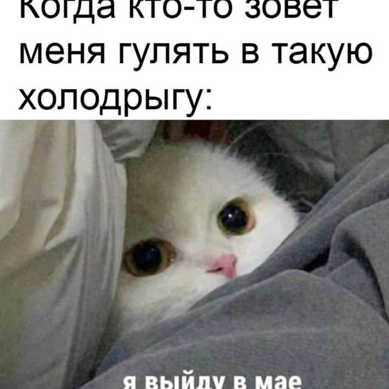 ВладиVостоК 2000🐯🎗️ Маргарита🐯🔟к post image