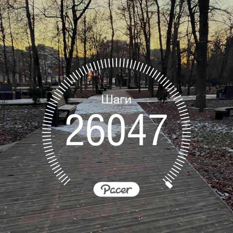 ВладиVостоК 2000🐯🎗️ Маргарита🐯🔟к post image