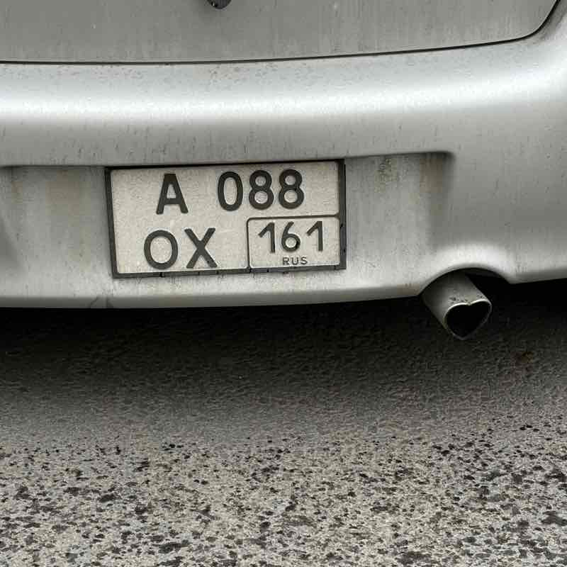 ВладиVостоК 2000🐯🎗️ Маргарита🐯🔟к post image