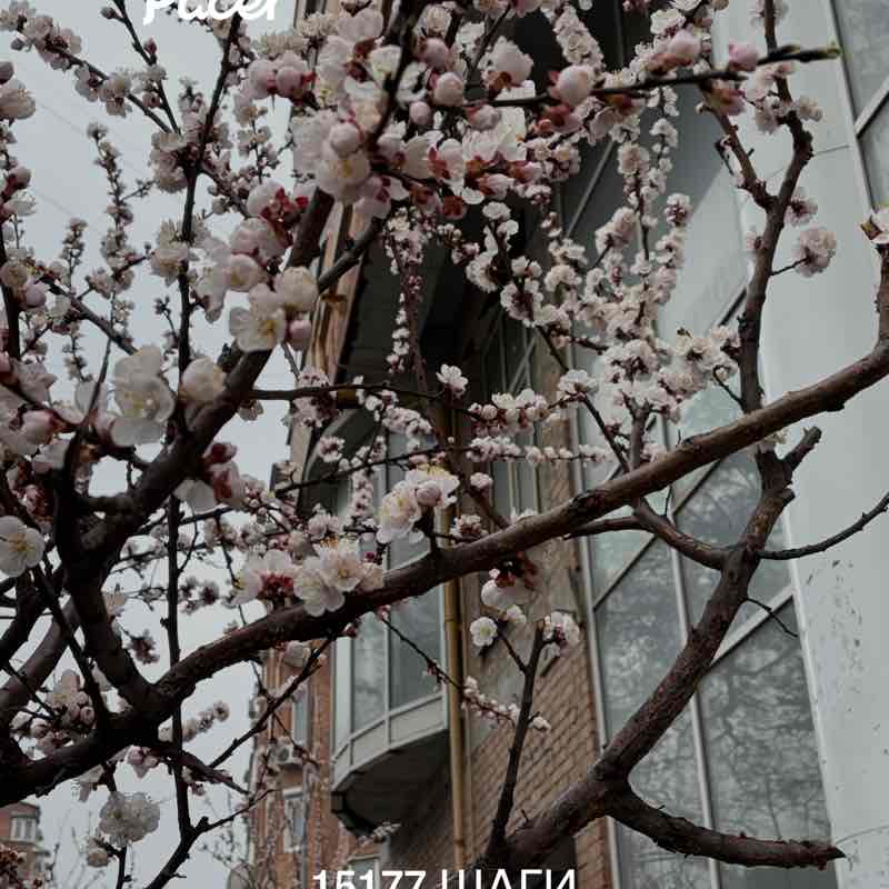 Маргарита🐯🔟к post 1