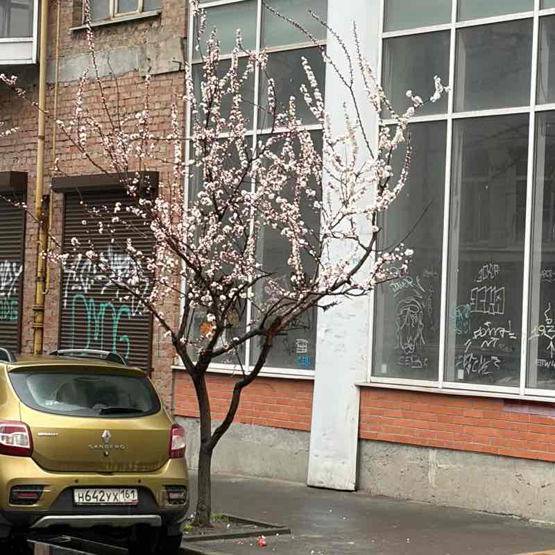 Маргарита🐯🔟к post 2