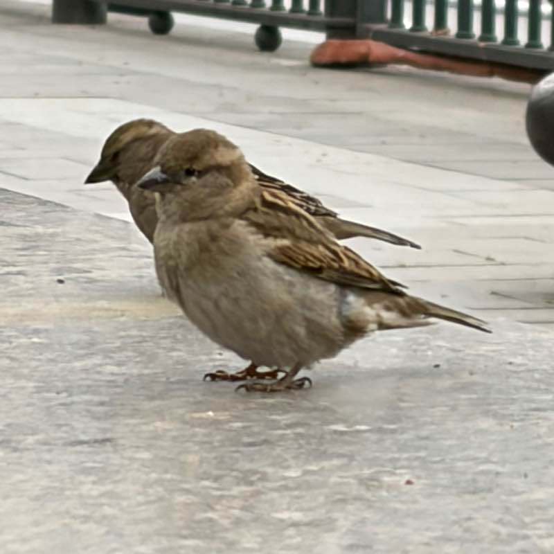 Маргарита🐯🔟к post 3