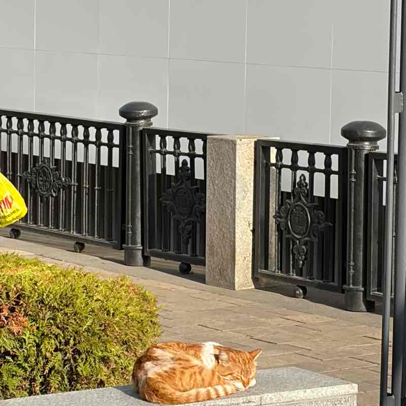 Маргарита🐯🔟к post 3