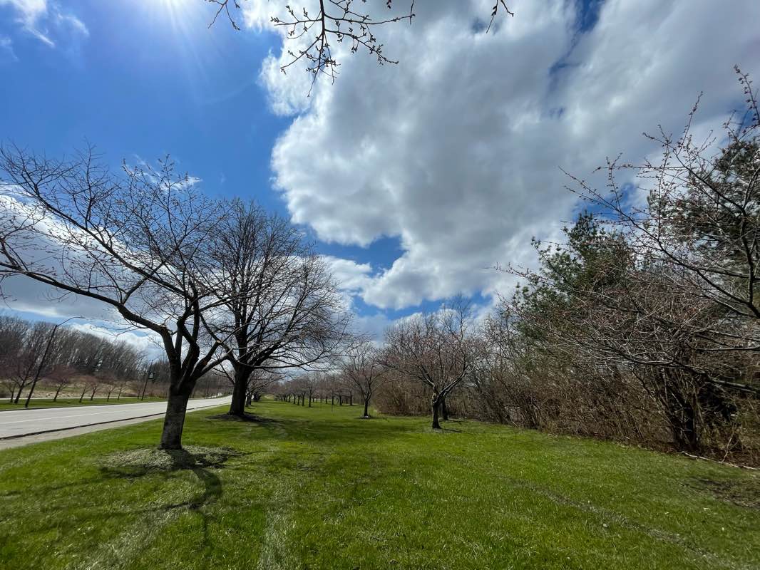 walking near me in Brookside Reservation in winter