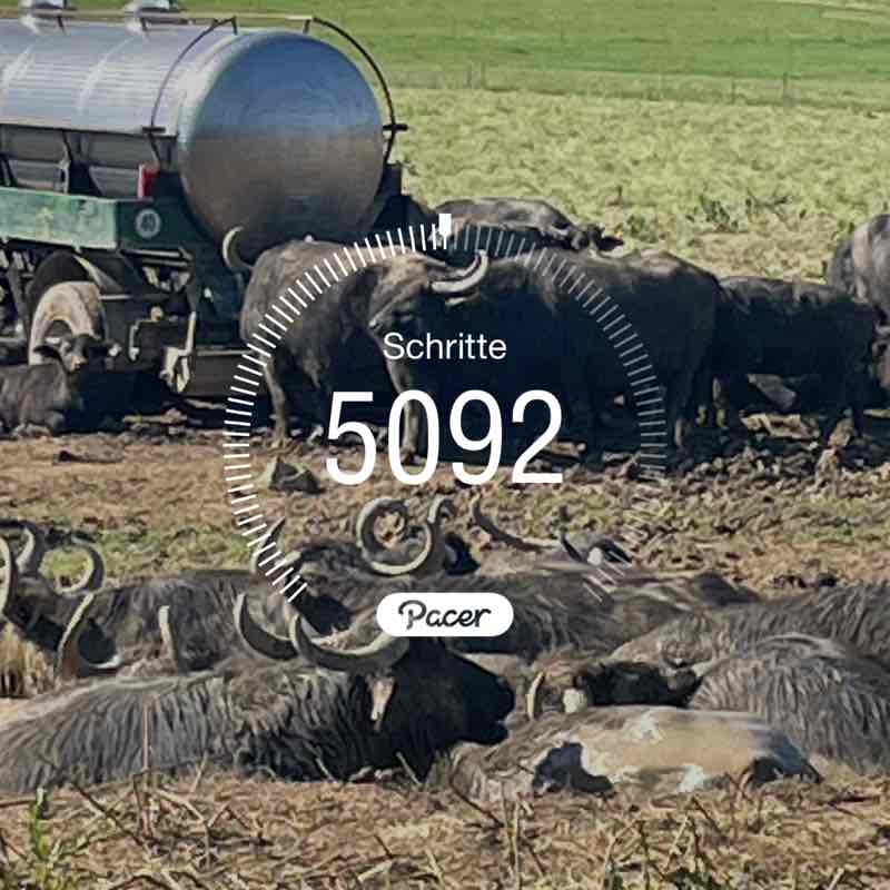 🚜 Bärle 🏍 post 1