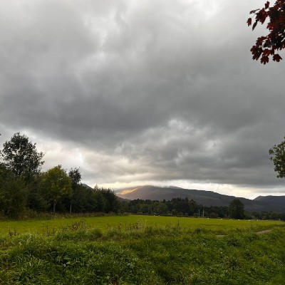 joanne stewart post 2