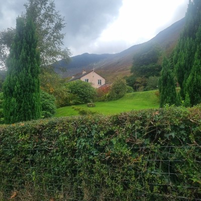 joanne stewart post 3