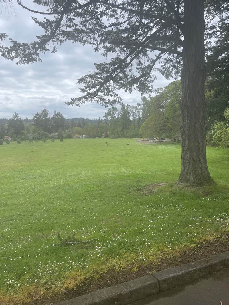 walking near me in North Albany County Park in spring