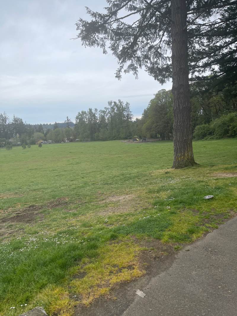 walking near me in North Albany County Park in spring