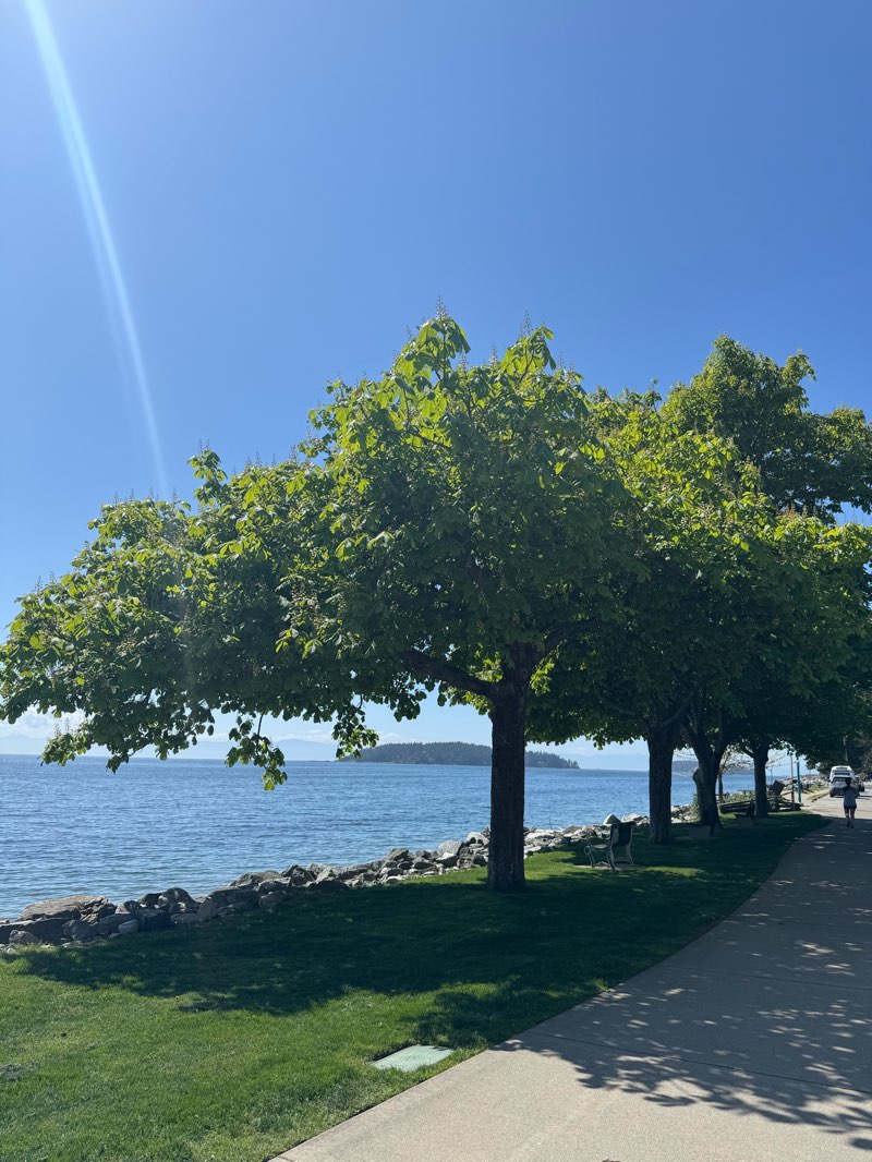 walking near me in Snickett Park in spring